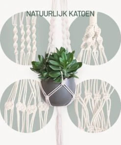 Gadgy Plantenhanger Macramé 3 Stuks - Luxe Gevlochten Touw Katoen - Plantenpot Ophangen - Hangpot -Tuingereedschap Serie Winkel 1000x1200 12