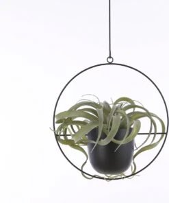 Mica Decorations Dexter Bloempot Hangend - L34 X B14 X H65 Cm - Zwart -Tuingereedschap Serie Winkel 1002x1200 7