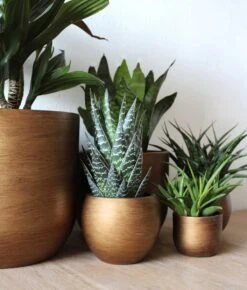 Capi Europe - Bloempot Bol Retro - 23x21 - Goud - Bloempot Voor Binnen - BRTG134 -Tuingereedschap Serie Winkel 1023x1200 1