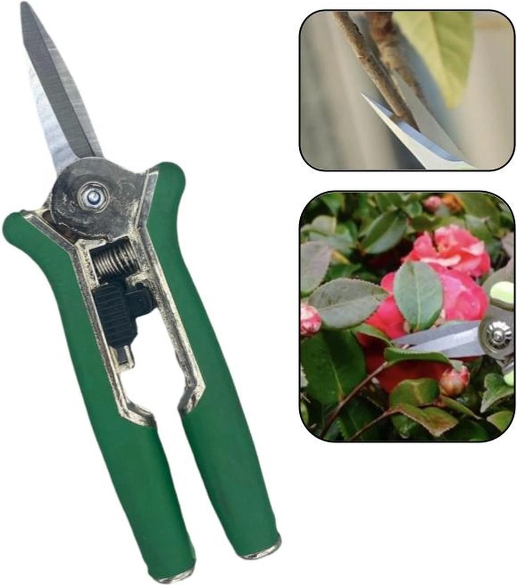 PD® - Snoeischaar Recht - Extra Scherp! - Bloemenschaar - 15 Cm 3 PD® - Snoeischaar Recht - Extra Scherp! - Bloemenschaar - 15 Cm
