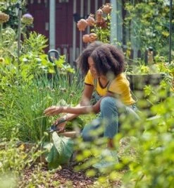 GARDENA - ExpertCut - Snoeischaar - 22 Diameter Tak -Tuingereedschap Serie Winkel 1116x1200 1