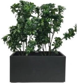 Elho Vivo Matt Finish Lang Wielen 90 - Grote Staande Plantenbak Voor Binnen & Buiten - Gemaakt Van Gereycled Plastic - L 39 X W 88 X H 41 Cm - Zwart 16 Elho Vivo Matt Finish Lang Wielen 90 - Grote Staande Plantenbak Voor Binnen & Buiten - Gemaakt Van Gereycled Plastic - L 39 X W 88 X H 41 Cm - Zwart -Tuingereedschap Serie Winkel 1124x1200 6