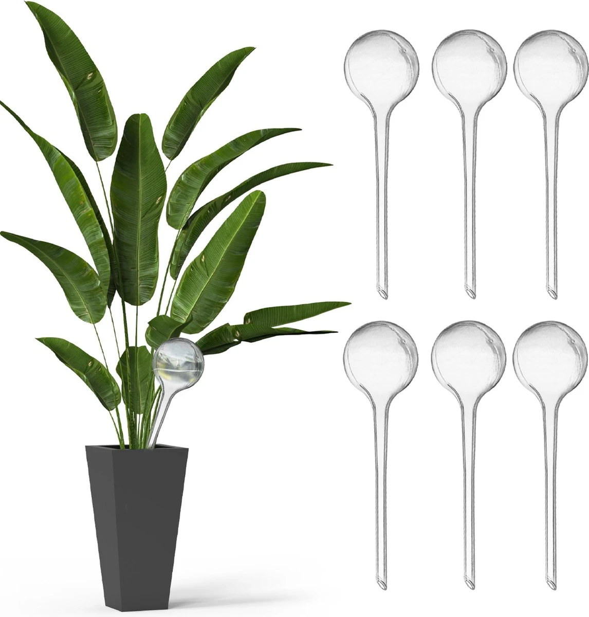 Waterdruppelaar Voor Planten - Irrigatiesysteem- Waterbol - Druppelsysteem - Watergeefsysteem Voor Kamerplanten - Plantenwatergever -6 Stuks - Transparant 3 Waterdruppelaar Voor Planten - Irrigatiesysteem- Waterbol - Druppelsysteem - Watergeefsysteem Voor Kamerplanten - Plantenwatergever -6 Stuks - Transparant