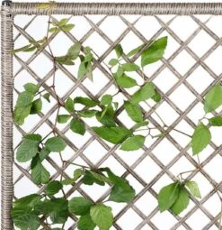 Casaria Polyrattan Bloembak – 3 Bakken Klimophek - Crème -Tuingereedschap Serie Winkel 1163x1200 6