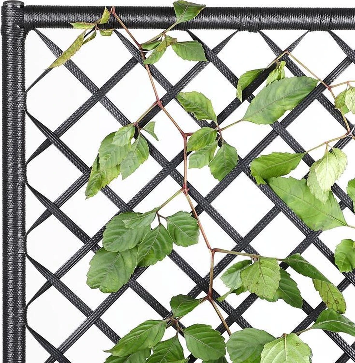 Casaria Polyrattan Plantenbak - Met Klimoprek - 3 Bakken Zwart 7 Casaria Polyrattan Plantenbak - Met Klimoprek - 3 Bakken Zwart - Afbeelding 5