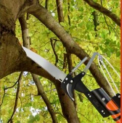 Gardebruk Takkenzaag Telescopisch - 2in1 Zaag & Snoeischaar - Oranje 29 Gardebruk Takkenzaag Telescopisch - 2in1 Zaag & Snoeischaar - Oranje -Tuingereedschap Serie Winkel 1189x1200 6