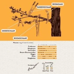 Hendrik Jan - Takkenschaar - Aluminium - Aambeeld - 62 Cm -Tuingereedschap Serie Winkel 1198x1200 5