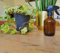 24DOTS Living Plantenspuit | 300 Ml Bruin Amber Glas | Plantensproeier | Plantenspuit Binnen | Waterverstuiver | Vernevelaar -Tuingereedschap Serie Winkel 1200x1051 3