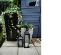 Prestige Manhattan 100L Regenton Zwart (incl. Kraantje) 18 Prestige Manhattan 100L Regenton Zwart (incl. Kraantje) -Tuingereedschap Serie Winkel 1200x1083 7