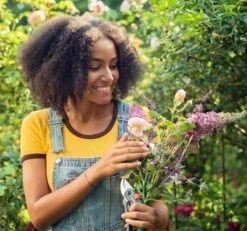 GARDENA - ExpertCut - Snoeischaar - 22 Diameter Tak -Tuingereedschap Serie Winkel 1200x1122