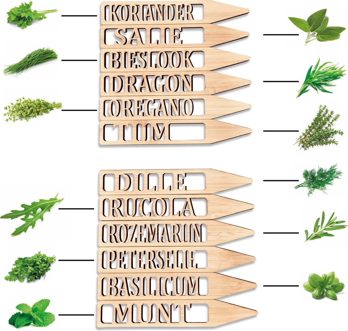 Djambo Tuingereedschap Set 8-delig Tuinsetje Met 15 Unieke Bamboe Plantetiketten In 1 Draagtas - Compleet Tuingereedschap Voor De Tuinliefhebbers 8 Djambo Tuingereedschap Set 8-delig Tuinsetje Met 15 Unieke Bamboe Plantetiketten In 1 Draagtas - Compleet Tuingereedschap Voor De Tuinliefhebbers - Afbeelding 6