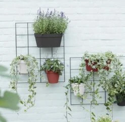 Elho Loft Urban Green Wall Rek 48 - Accessoires Voor Buiten - Ø 47.3 X H 59.0 Cm - Zwart/Living Black -Tuingereedschap Serie Winkel 1200x1173 10