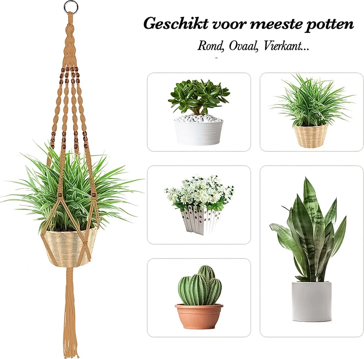 4 Stuks Luxe Jute Plantenhangers - Boho Handgeweven Katoen Hangpot Voor Binnen/Buiten - Hangende Bloempot Met Kralen - Macramé Touw/Koord Hangplant Houder - Bohemian Wandhanger Decoratie - Plant Hanger - Verticale Tuin Bloempothouder Planthanger 8 4 Stuks Luxe Jute Plantenhangers - Boho Handgeweven Katoen Hangpot Voor Binnen/Buiten - Hangende Bloempot Met Kralen - Macramé Touw/Koord Hangplant Houder - Bohemian Wandhanger Decoratie - Plant Hanger - Verticale Tuin Bloempothouder Planthanger - Afbeelding 6