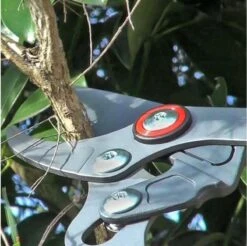 WOLF-Garten Takkenschaar POWER CUT RR*** 900 T - Lengte 650-900mm - Telescoop - Aluminium Hefboomarmen - 4x Meer Kracht - Messpanning Instelbaar -Tuingereedschap Serie Winkel 1200x1194