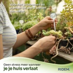 Waterdruppelaar Voor Planten - Irrigatiesysteem- Waterbol - Druppelsysteem - Watergeefsysteem Voor Kamerplanten - Plantenwatergever -6 Stuks - Transparant 12 Waterdruppelaar Voor Planten - Irrigatiesysteem- Waterbol - Druppelsysteem - Watergeefsysteem Voor Kamerplanten - Plantenwatergever -6 Stuks - Transparant -Tuingereedschap Serie Winkel 1200x1198 43