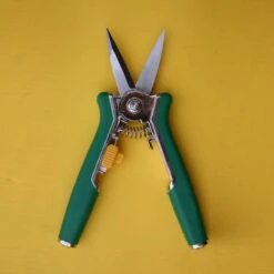 Bloemenschaar- Snoeischaar Recht Green Arrow 6238 -Tuingereedschap Serie Winkel 1200x1200 203