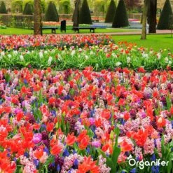 Lavameel Uit Eifel Oergesteente (20Kg Voor 200m2) Organifer 21 Lavameel Uit Eifel Oergesteente (20Kg Voor 200m2) Organifer -Tuingereedschap Serie Winkel 1200x1200 2042