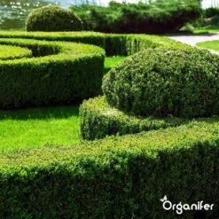 Lavameel Uit Eifel Oergesteente (20Kg Voor 200m2) Organifer 24 Lavameel Uit Eifel Oergesteente (20Kg Voor 200m2) Organifer -Tuingereedschap Serie Winkel 1200x1200 2045