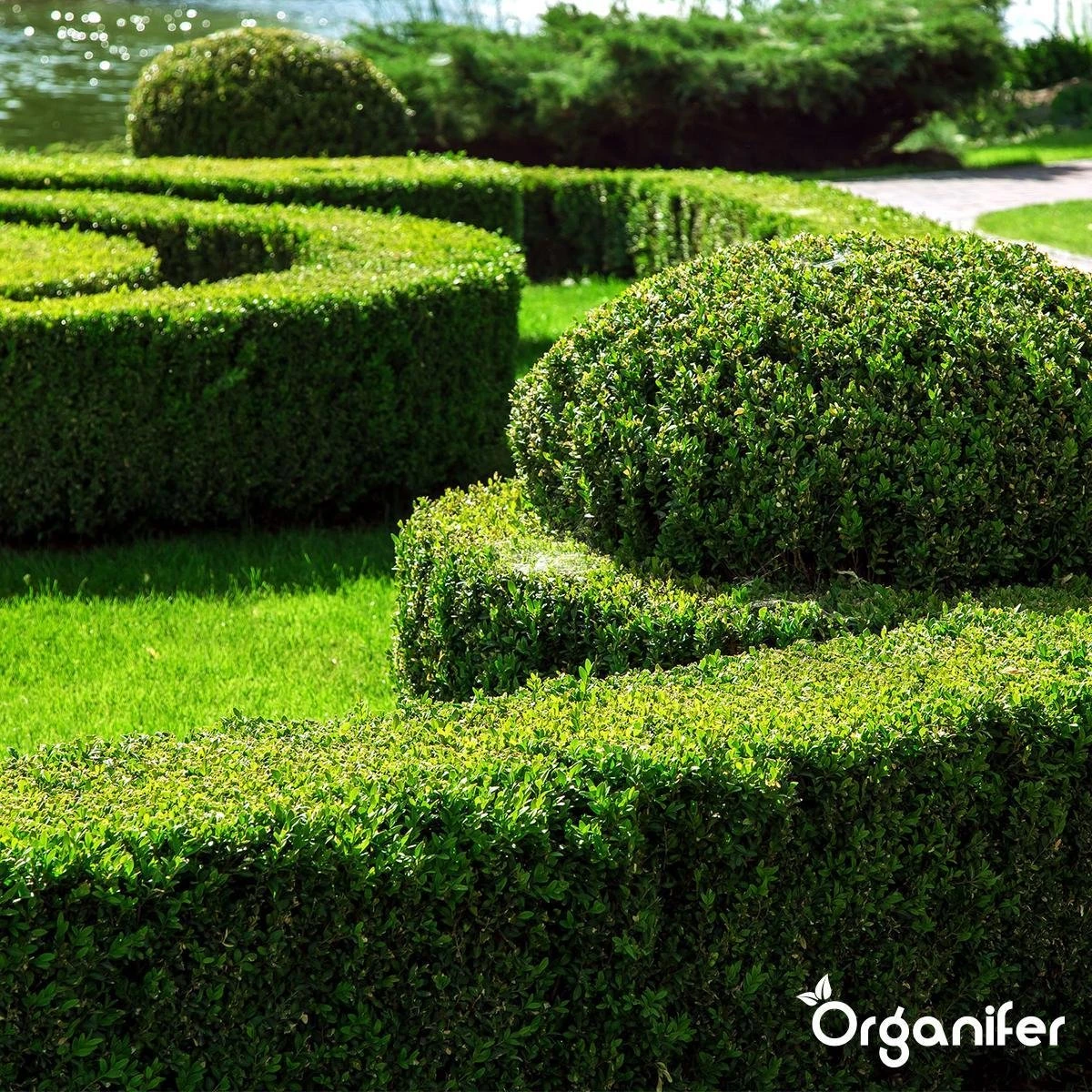 Lavameel Uit Eifel Oergesteente (20Kg Voor 200m2) Organifer 13 Lavameel Uit Eifel Oergesteente (20Kg Voor 200m2) Organifer - Afbeelding 11