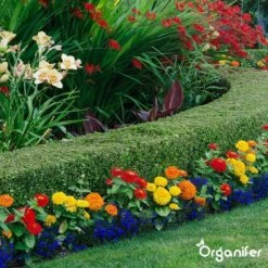 Lavameel Uit Eifel Oergesteente (20Kg Voor 200m2) Organifer 25 Lavameel Uit Eifel Oergesteente (20Kg Voor 200m2) Organifer -Tuingereedschap Serie Winkel 1200x1200 2046