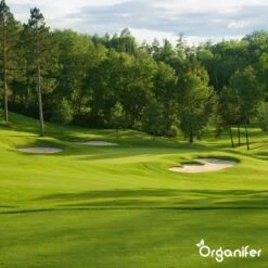 Kalk Korrel Meststof Verrijkt Met Magnesium (5Kg - Voor 100m2) Voor Dieper Bladgroen (+PH) Speciaal Voor Gazon, Perken, Moestuin En Openbaar Groen - Organifer -Tuingereedschap Serie Winkel 1200x1200 2054