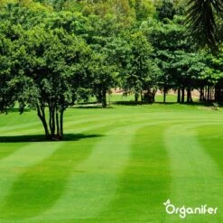 Kalk Korrel Meststof Verrijkt Met Magnesium (5Kg - Voor 100m2) Voor Dieper Bladgroen (+PH) Speciaal Voor Gazon, Perken, Moestuin En Openbaar Groen - Organifer -Tuingereedschap Serie Winkel 1200x1200 2058