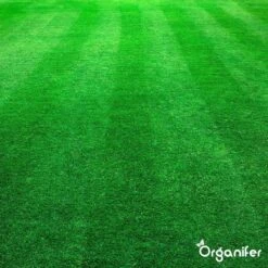 Kalk Korrel Meststof Verrijkt Met Magnesium (5Kg - Voor 100m2) Voor Dieper Bladgroen (+PH) Speciaal Voor Gazon, Perken, Moestuin En Openbaar Groen - Organifer -Tuingereedschap Serie Winkel 1200x1200 2059