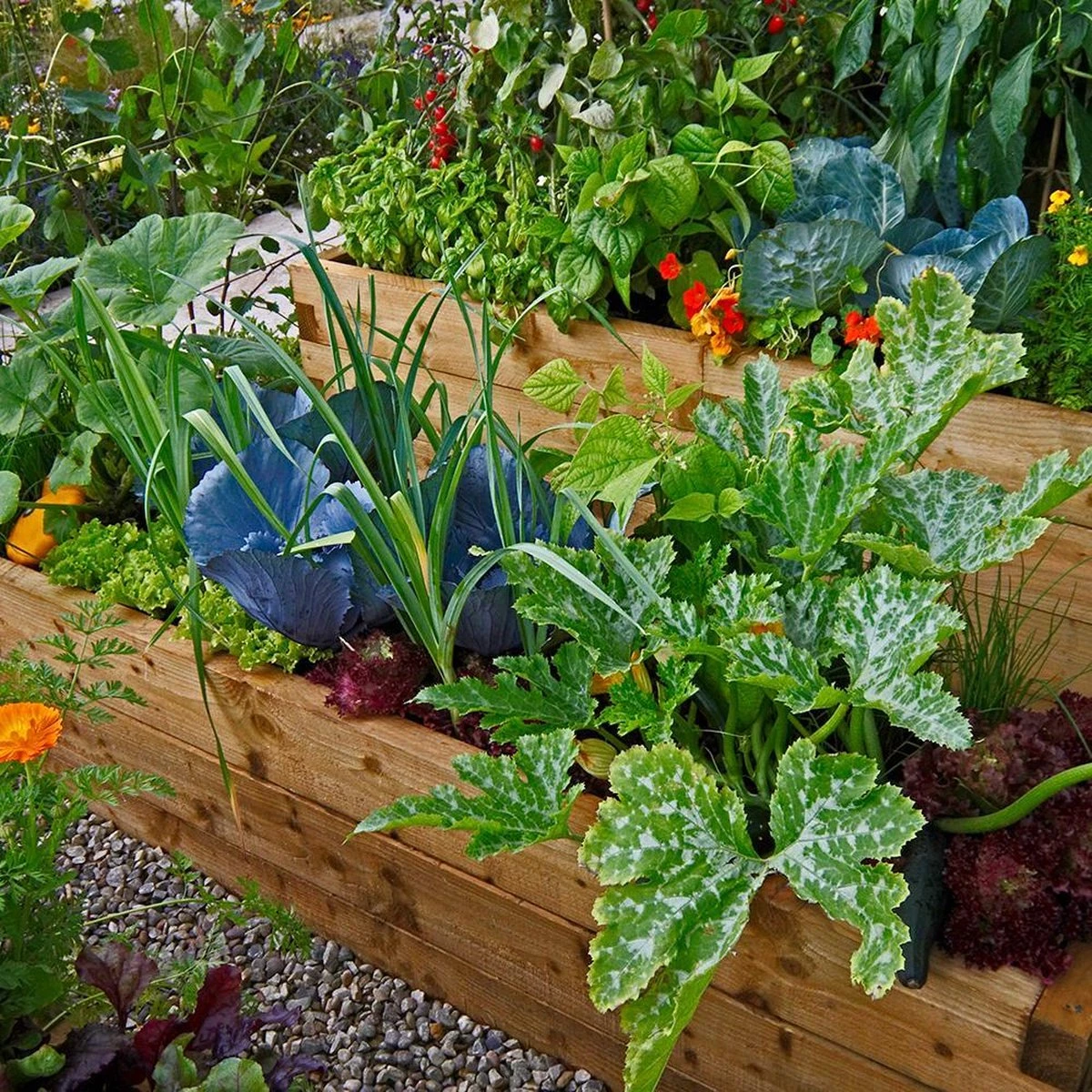 Mycorrhiza Mix Moestuin 500Gr - FungiLife Endomycorrhiza 4 Mycorrhiza Mix Moestuin 500Gr - FungiLife Endomycorrhiza - Afbeelding 2