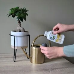 Pokon Bio Bonsai Voeding - 250ml - Plantenvoeding (bio) - 7ml Per 1L Water -Tuingereedschap Serie Winkel 1200x1200 2086