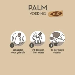 Pokon Bio Palm Voeding - 250ml - Plantenvoeding (bio) - 7ml Per 1L Water -Tuingereedschap Serie Winkel 1200x1200 2097