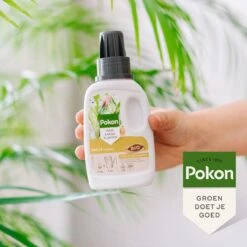 Pokon Bio Palm Voeding - 250ml - Plantenvoeding (bio) - 7ml Per 1L Water -Tuingereedschap Serie Winkel 1200x1200 2098