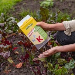 ECOStyle Vinassekali Organische Meststof - Vuor Kaliumtekort - Voor Moestuin, Siertuin En Fruit - Hoger Weerstand Tegen Droogte & Vorst - 15M² - 800 GR -Tuingereedschap Serie Winkel 1200x1200 2104