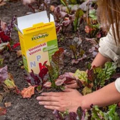 ECOStyle Vinassekali Organische Meststof - Vuor Kaliumtekort - Voor Moestuin, Siertuin En Fruit - Hoger Weerstand Tegen Droogte & Vorst - 15M² - 800 GR -Tuingereedschap Serie Winkel 1200x1200 2105