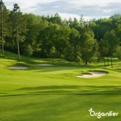 Gazonmest All-In-One (10Kg - Voor 200m2) Voor Een Diepgroen Sterk Gazon Zonder Mos En Onkruid - Complete Meststof Met Kalk En Grasversterker - Organifer -Tuingereedschap Serie Winkel 1200x1200 2119