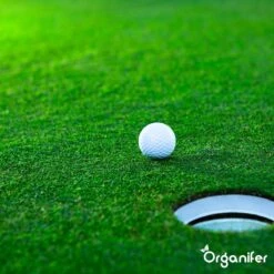 Gazonmest All-In-One (10Kg - Voor 200m2) Voor Een Diepgroen Sterk Gazon Zonder Mos En Onkruid - Complete Meststof Met Kalk En Grasversterker - Organifer -Tuingereedschap Serie Winkel 1200x1200 2123