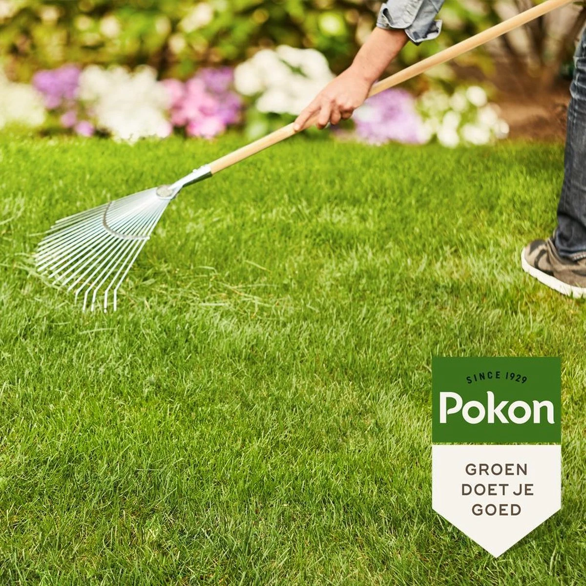 Pokon Gazonmest Met Kalk - 2kg - Mest - Geschikt Voor 30m² - 120 Dagen Voeding 5 Pokon Gazonmest Met Kalk - 2kg - Mest - Geschikt Voor 30m² - 120 Dagen Voeding - Afbeelding 4