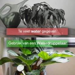 Waterdruppelaar Set Van 12 Stuks - Waterdruppelaar Voor Planten - Watergeefsysteem - Waterbol Irrigatiesysteem - Automatisch Druppelsysteem Voor Kamerplanten & Tuin - Watergever - Transparant - 15cm 15 Waterdruppelaar Set Van 12 Stuks - Waterdruppelaar Voor Planten - Watergeefsysteem - Waterbol Irrigatiesysteem - Automatisch Druppelsysteem Voor Kamerplanten & Tuin - Watergever - Transparant - 15cm -Tuingereedschap Serie Winkel 1200x1200 2135