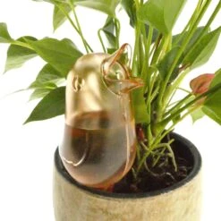 JS Drippy - Waterdruppelaars Set Van 2 Stuks - Druppelaar Vogel - Druppelsysteem Planten - Watergeefsysteem Kamerplanten - Waterbol - Roze 9 JS Drippy - Waterdruppelaars Set Van 2 Stuks - Druppelaar Vogel - Druppelsysteem Planten - Watergeefsysteem Kamerplanten - Waterbol - Roze -Tuingereedschap Serie Winkel 1200x1200 2226