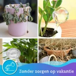 Summer Spark Waterdruppelaar Voor Planten 6 Stuks Transparant – 27 CM X 8 CM – 250 ML – Automatisch Watergeefsysteem Voor Kamerplanten – Planten Watergever Met Druppelsysteem – Waterbol -Tuingereedschap Serie Winkel 1200x1200 2233