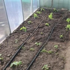 Druppelslang Actiepakket 100 Meter - Leidingshop -Tuingereedschap Serie Winkel 1200x1200 2255