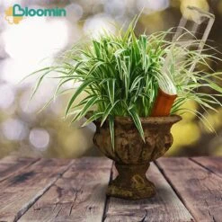 Bloomin Waterdruppelaar Van Terracotta - Waterdruppelaar Voor Planten - Druppelsysteem - Irrigatiesysteem - Watergeefsysteem - Bewateringssysteem - 8 Stuks -Tuingereedschap Serie Winkel 1200x1200 2261