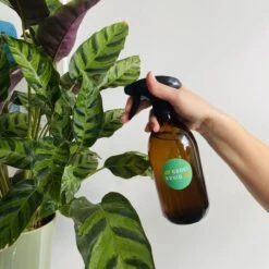 Groeikruid® Plantenspuit | 500 Ml Amber Glas | Met Zwarte Spraykop | Plantensproeier Binnen | Waterverstuiver | Verstuiver | Waterspuit -Tuingereedschap Serie Winkel 1200x1200 2344