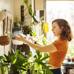 Allsa Mist Verstuiver - Mist Sprayer - Planten Spuit - Continuous Spray - Zwart -Tuingereedschap Serie Winkel 1200x1200 2352