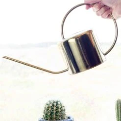 Kikkerland Vintage Gieter - Plantengieter Voor Binnen - Goud - 1,2L - Retro - Metaal 12 Kikkerland Vintage Gieter - Plantengieter Voor Binnen - Goud - 1,2L - Retro - Metaal -Tuingereedschap Serie Winkel 1200x1200 2481