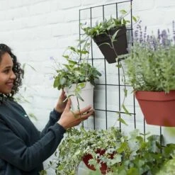 Elho Loft Urban Green Wall Rek 48 - Accessoires Voor Buiten - Ø 47.3 X H 59.0 Cm - Zwart/Living Black -Tuingereedschap Serie Winkel 1200x1200 2573