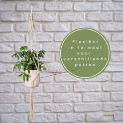 Plantenhanger - Plantenhanger Macrame - Set Van 2 - Wit - Knopen - Luxe Gevlochten Touw - Met Ophang Haken - Fienosa -Tuingereedschap Serie Winkel 1200x1200 2578