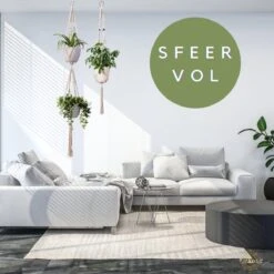 Plantenhanger Macrame Set Van 2 - Plantenhanger Met Ruimte Voor 3 Potten - Luxe Gevlochten Touw 100% Katoen - Duurzaam - Plantenbakken - Bloempotten - Macramé Stijl Hanger Voor Bloempotten - Hangpot - Fienosa -Tuingereedschap Serie Winkel 1200x1200 2583