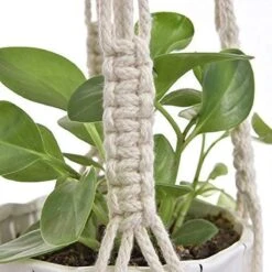 4 Stuks Plantenhangers - Boho Handgeweven Katoen Hangpot Voor Binnen/Buiten - Bloempot Met Kralen - Macramé Touw/Koord Hangplant Houder - Bohemian Wandhanger Decoratie - Verticale Tuin Plant Hanger Bloempothouder Planthanger Wit 17 4 Stuks Plantenhangers - Boho Handgeweven Katoen Hangpot Voor Binnen/Buiten - Bloempot Met Kralen - Macramé Touw/Koord Hangplant Houder - Bohemian Wandhanger Decoratie - Verticale Tuin Plant Hanger Bloempothouder Planthanger Wit -Tuingereedschap Serie Winkel 1200x1200 2589