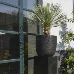 Capi Europe - Bloempot Bol Rib NL - 35x34 - Zwart - Voor Binnen En Buiten - KBLR932 -Tuingereedschap Serie Winkel 1200x1200 2604