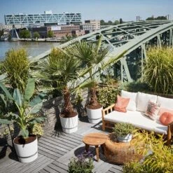 Elho Greenville Rond 30 - Grote Bloempot Voor Buiten - Gemaakt Van Gereycled Plastic - Ø 29.5 X H 27.8 Cm - Living Black -Tuingereedschap Serie Winkel 1200x1200 2635